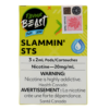 Flavour Beast - Slammin' STS