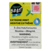 Flavour Beast - Extreme Mint
